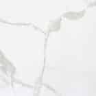 Michelangelo Gold Quartz countertops Asheville